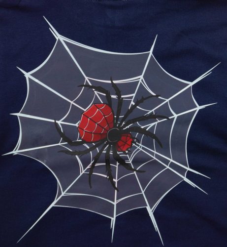 Belül bolyhos fiú szabadidő szett pókos mintával