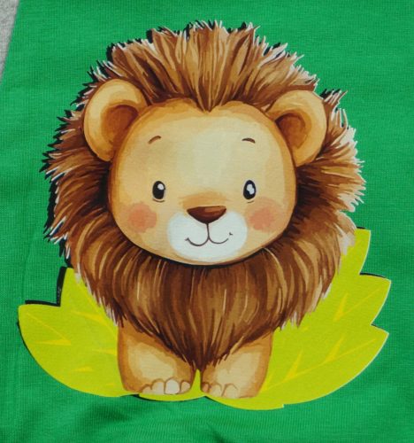 2 részes kisfiú szabadidő szett oroszlános mintával