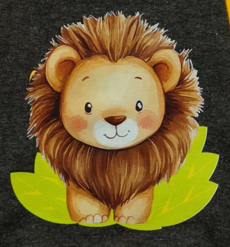 2 részes kisfiú szabadidő szett oroszlános mintával