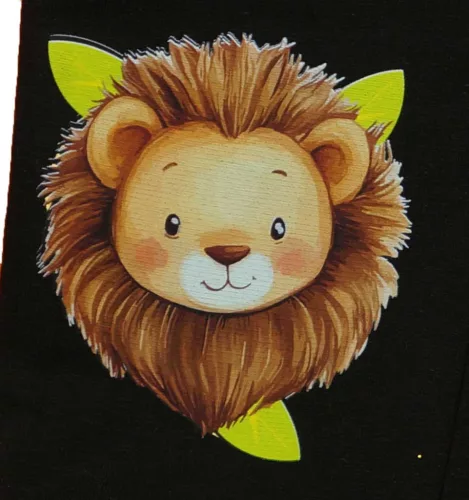 2 részes kisfiú szabadidő szett oroszlános mintával