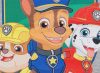 Mancs őrjárat/Paw Patrol rövid ujjú kisfiú póló