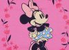 Disney Minnie Love babatakaró 70x91