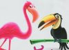 Tukán és Flamingó madár mintás kislány rövid ujjú póló