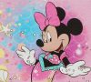 Disney Minnie sellős lányka póló