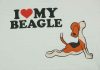 Rövid ujjú férfi póló beagle mintával