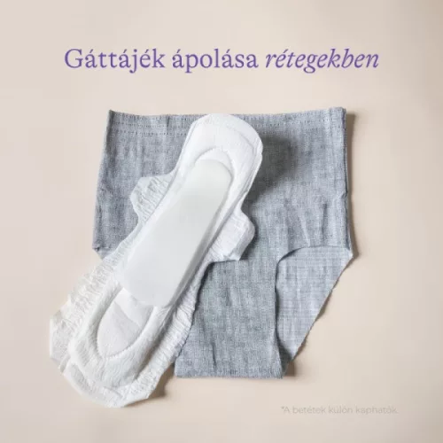 Lansinoh szülés utáni mosható alsónemű 4 db