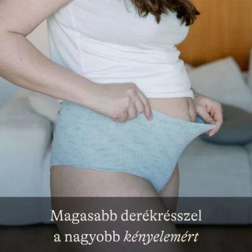 Lansinoh szülés utáni mosható alsónemű 4 db