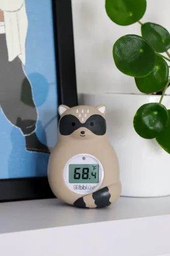 Bblüv Rakü víz és szobahőmérő