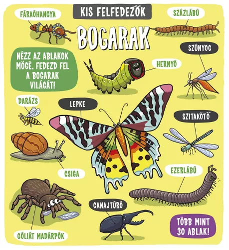 Napraforgó Kis felfedezők - Bogarak