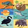 Napraforgó 101 színes kép a vadon élő állatokról
