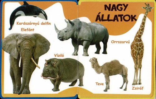 Napraforgó Szivacskönyv - Állatok