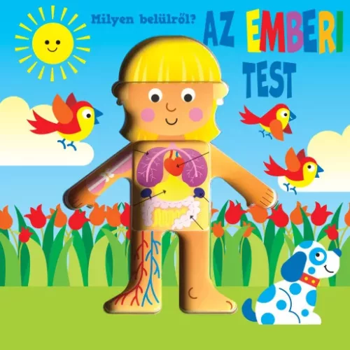 Napraforgó Nagy pop-up - Milyen belülről - Az emberi test