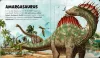 Napraforgó Szuper puzzle - Dinoszauruszok