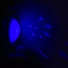 Plüss szundibarát maci projektorral Baby Mix kék