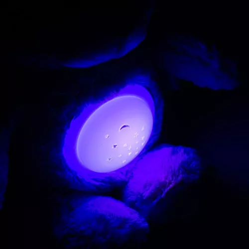 Plüss szundibarát maci projektorral Baby Mix rózsaszín