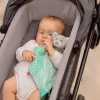 Szundikendő Maci Baby Mix menta
