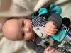 Fejlesztő zenélő játék Baby Mix zebra