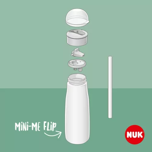 Gyermek itatópohár NUK Mini-Me Flip Frozen  450 ml 12+ m