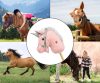 Hobby Horse hanggal Milly Mally light pink