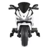 BO Surfer elektromos motor, 20kg-ig, 2 motoros FEHÉR