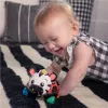 OBALL kontrasztos kisautó és csörgő 2in1 Curious Car zebra Zen™ 3hó+