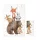 Ceba Baby utazó pelenkázó alátét Basic Forest Friends – 60×40 cm, összecsukható, vízálló