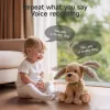  Barni - Táncoló, éneklő és beszélő interaktív plüss hosszú fülű kiskutya - Tumama