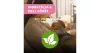 Chicco Breast Wipes 72 db melltörlő kendő