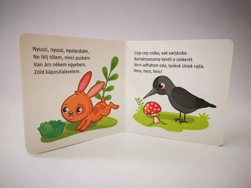 Hová mész te kis nyulacska? 2+ (kartonkönyv)