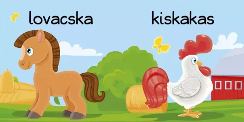 Fürdőskönyv - A farmon