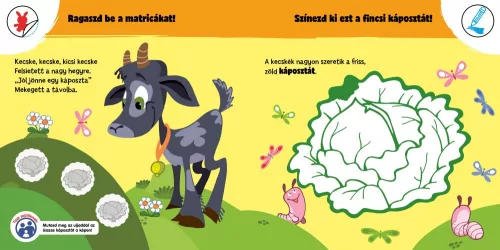 Mit esznek az állatok? - Okoskák ovija mini