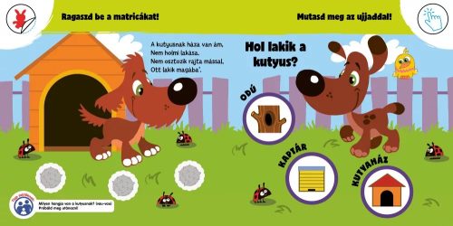 Hol laknak az állatok? - Okoskák ovija mini