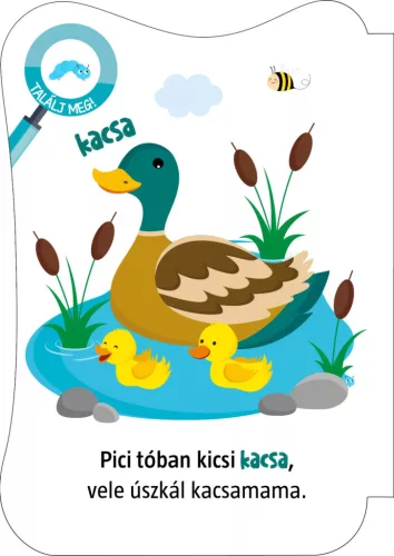 Háziállatok - mondókáskönyv (kartonkönyv)