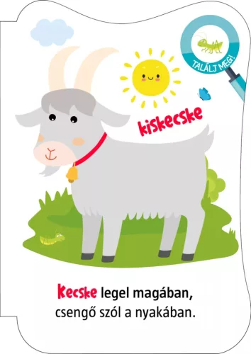 Háziállatok - mondókáskönyv (kartonkönyv)